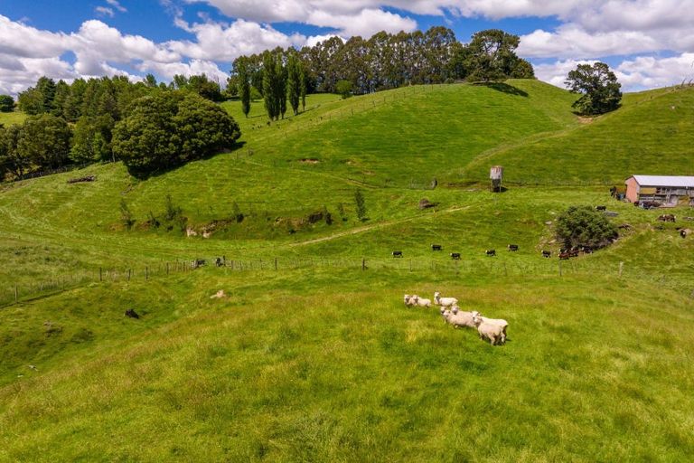 Photo of property in 319 State Highway 2, Mangateretere, Hastings, 4180