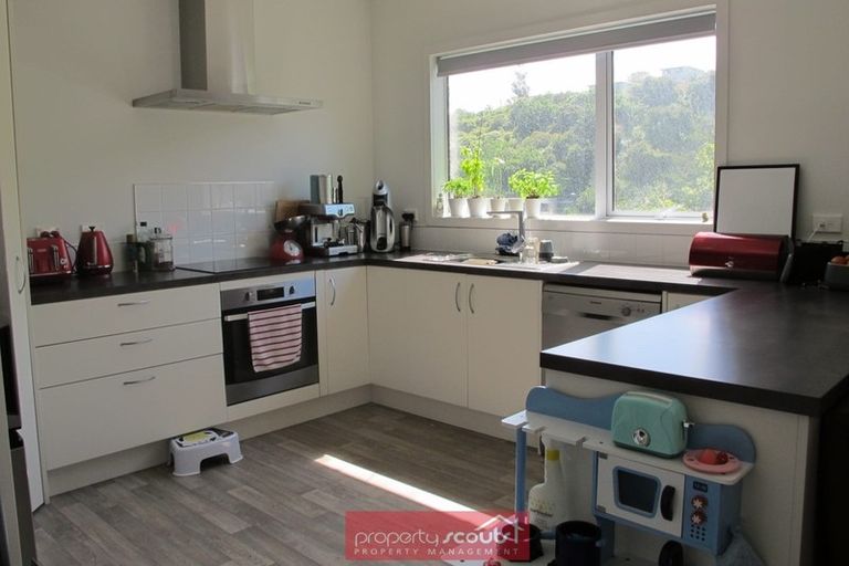 Photo of property in 90 Somerville Street, Andersons Bay, Dunedin, 9013