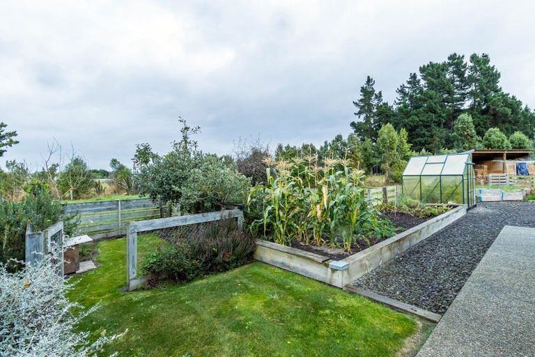 Photo of property in 116 Molloys Road, Waimate, 7980