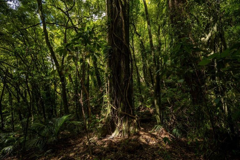 Photo of property in 185 Kanuka Rise, Wakapuaka, Nelson, 7071