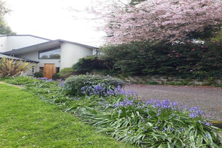 Photo of property in 728 Whangamata Road, Kinloch, Taupo, 3377