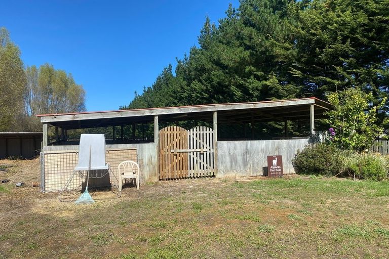 Photo of property in 153 Halcombe Road, Feilding, 4775