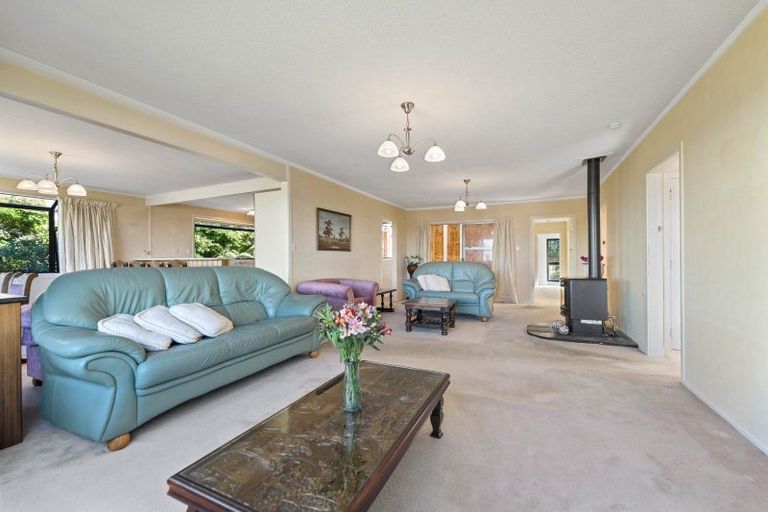 Photo of property in 12 Pataka Road, Taupo, 3330