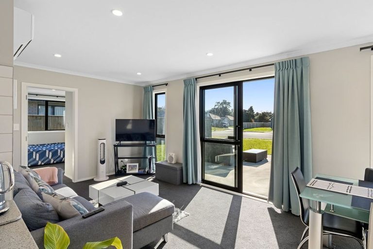 Photo of property in 111 Hinemoa Street, Levin, 5510