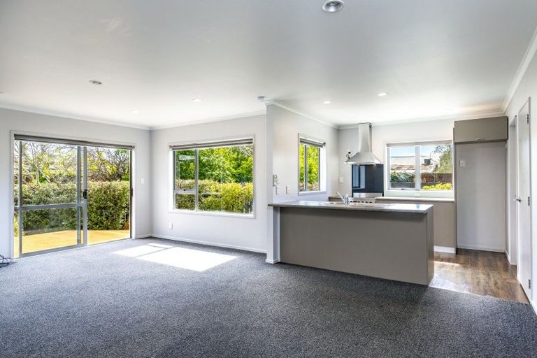 Photo of property in 14a Belvue Crescent, Witherlea, Blenheim, 7201