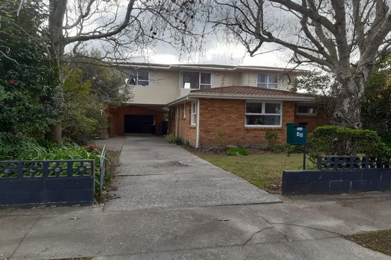 Photo of property in 45 Rata Street, Roslyn, Palmerston North, 4414