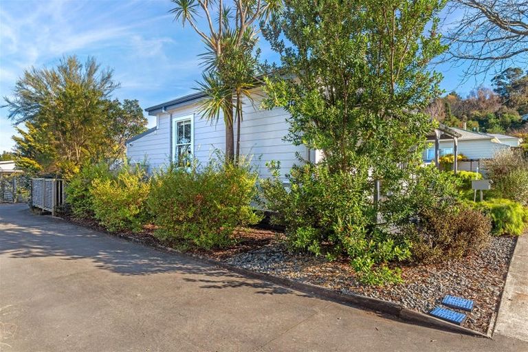 Photo of property in 184 Russell Street, Whataupoko, Gisborne, 4010