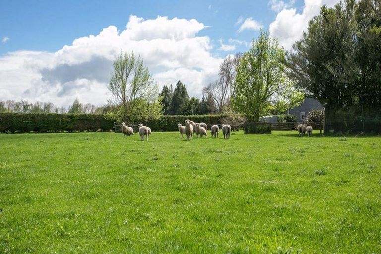 Photo of property in 474 Mystery Creek Road, Ohaupo, 3881