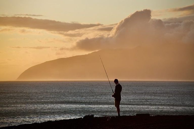 Photo of property in 24 Whangaimoana Beach Road, Whangaimoana, Featherston, 5772