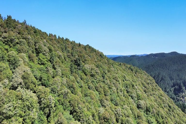 Photo of property in 575a Whirinaki Road, Galatea, Murupara, 3079