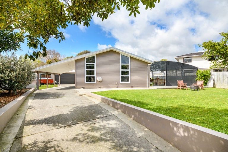 Photo of property in 17 Patea Place, Terrace End, Palmerston North, 4410