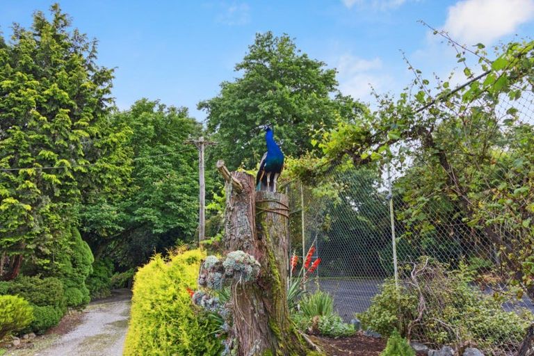 Photo of property in 488 Tapuwae Road, Maniaiti / Benneydale, Te Kuiti, 3987