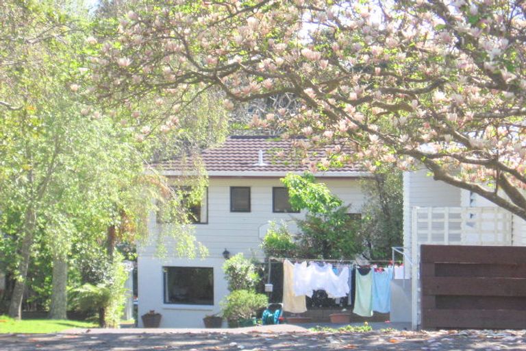 Photo of property in 55a Grange Road, Otumoetai, Tauranga, 3110