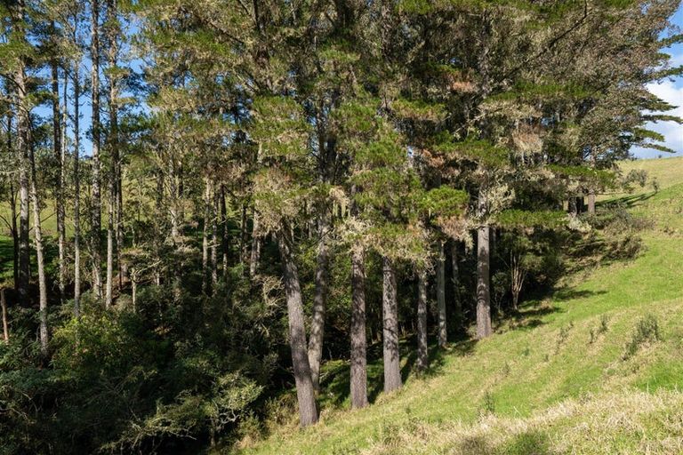 Photo of property in 15 Toots Drive, Kawakawa, 0282