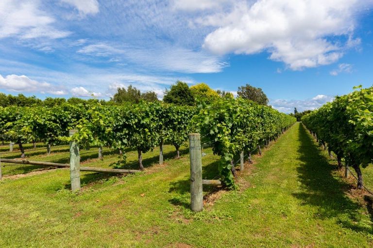 Photo of property in 58 Blicks Lane, Springlands, Blenheim, 7272