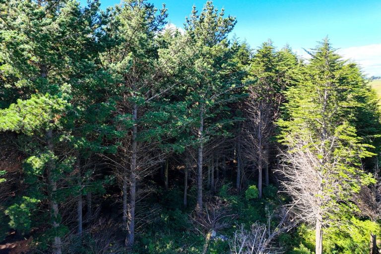 Photo of property in 80 Bay View Road, Woodend, Invercargill, 9877