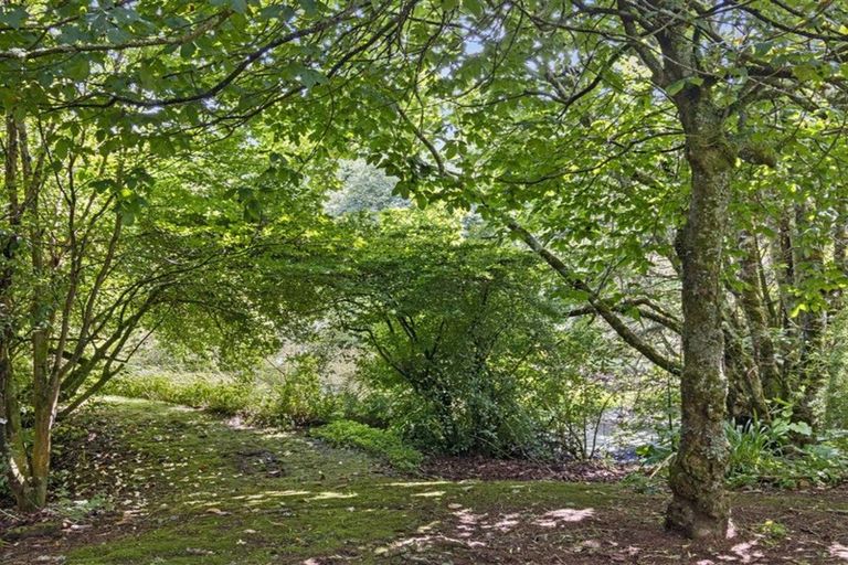 Photo of property in 488 Tapuwae Road, Maniaiti / Benneydale, Te Kuiti, 3987