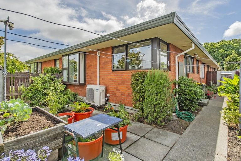 Photo of property in 11a William Street, Lincoln, 7608