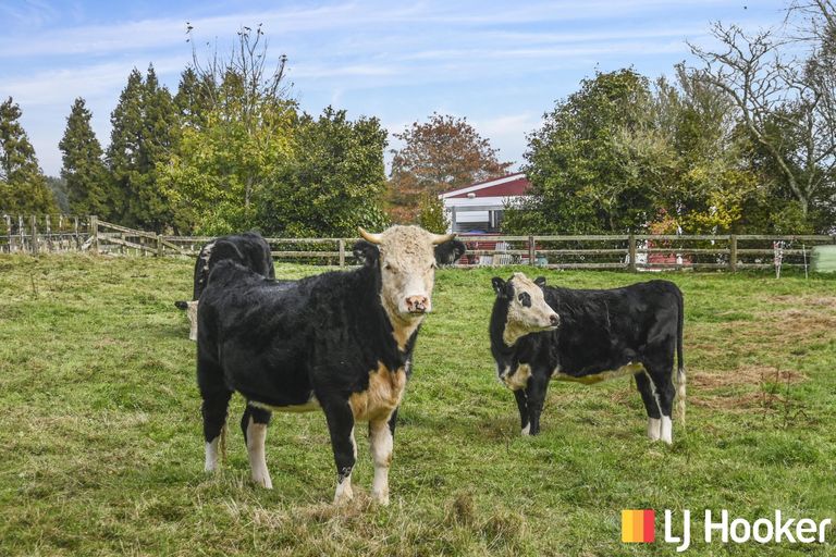 Photo of property in 18 Old State Mill Road, Mamaku, 3020