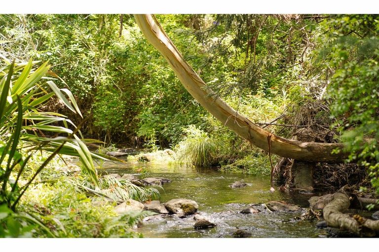 Photo of property in 14 Campbell Lane, Kerikeri, 0230