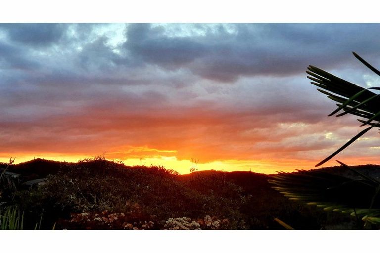 Photo of property in 19 Tui Grove, Paihia, 0200