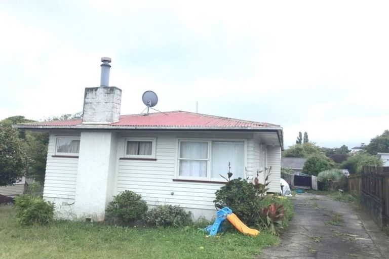 Photo of property in 6 Kaikoura Street, Henderson, Auckland, 0612