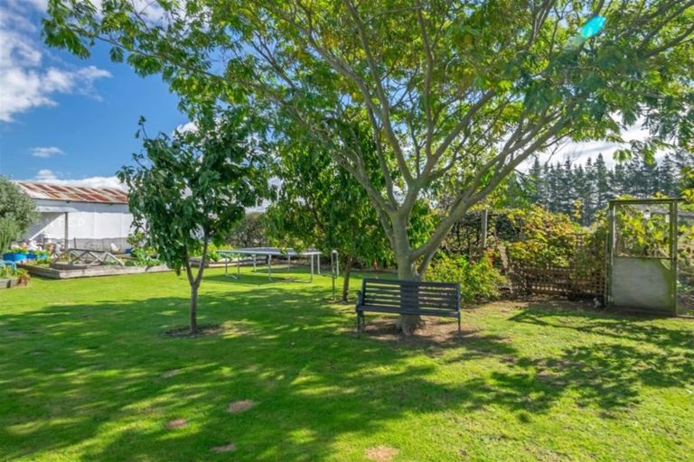 Photo of property in 14 Beaumont Street, Seddon, 7210