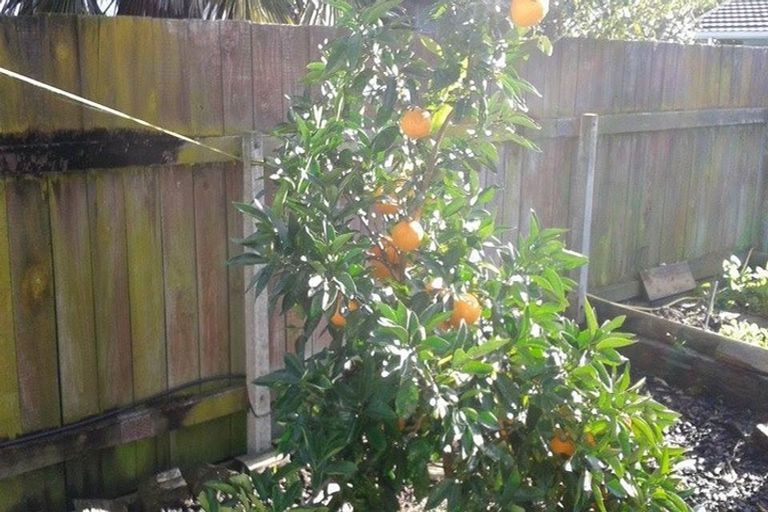 Photo of property in 12 Lerwick Street, Tamatea, Napier, 4112