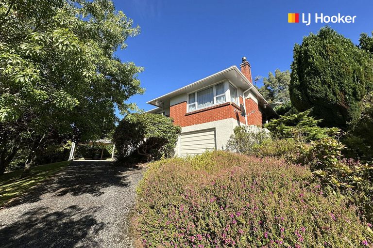 Photo of property in 29 Saint Albans Street, Bradford, Dunedin, 9011