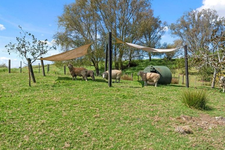 Photo of property in 10 Bennett Street, Port Albert, Wellsford, 0973