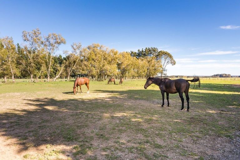Photo of property in 89 Camp Road, Linton, Palmerston North, 4472