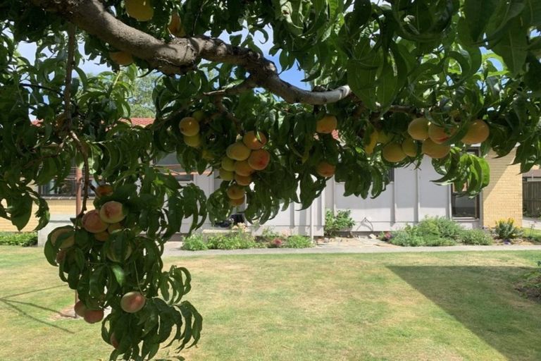 Photo of property in 69 Waenga Drive, Cromwell, 9310