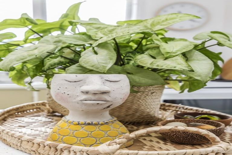 Photo of property in 7/35 Arawa Road, Hataitai, Wellington, 6021