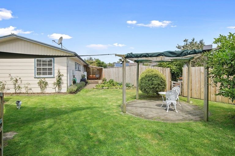 Photo of property in 6 Hazelwood Avenue, Dinsdale, Hamilton, 3204