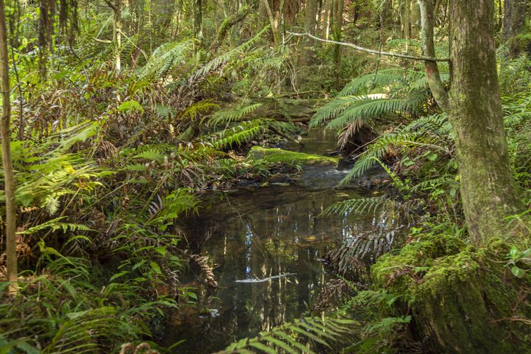 Photo of property in 27 Opouteke Road, Pakotai, Whangarei, 0172