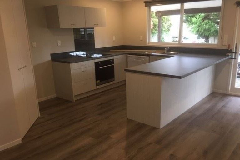 Photo of property in 99 Naylor Street, Hamilton East, Hamilton, 3216