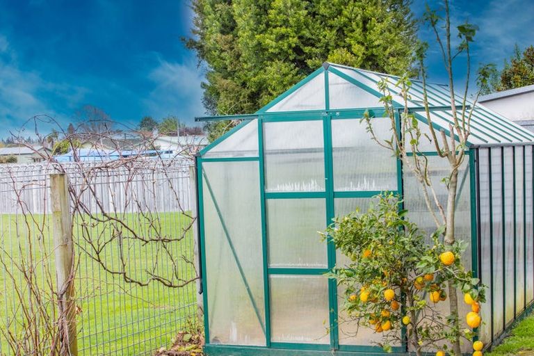 Photo of property in 20b Carisbrooke Street, Katikati, 3129