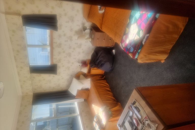 Photo of property in 20 Matipo Street, Takaro, Palmerston North, 4410