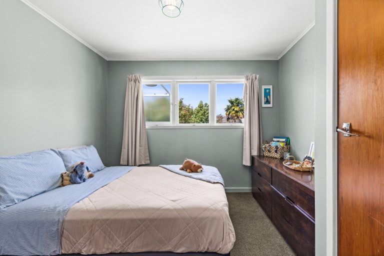 Photo of property in 1100 Allenby Street, Akina, Hastings, 4122