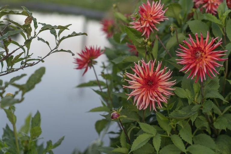 Photo of property in 50b Paul Road, Whenuakite, Whitianga, 3591