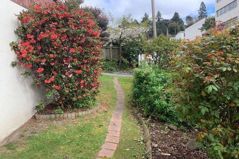 Photo of property in 331 Rattray Street, Dunedin Central, Dunedin, 9016