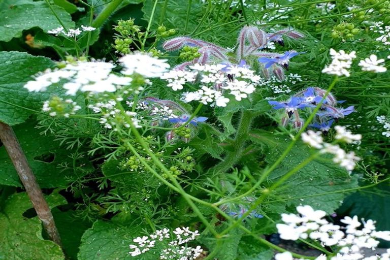 Photo of property in 128 Waimea Road, Nelson South, Nelson, 7010