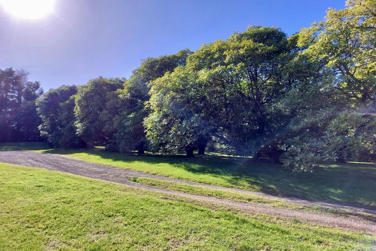 Photo of property in 496 Waitao Road, Waitao, Tauranga, 3175