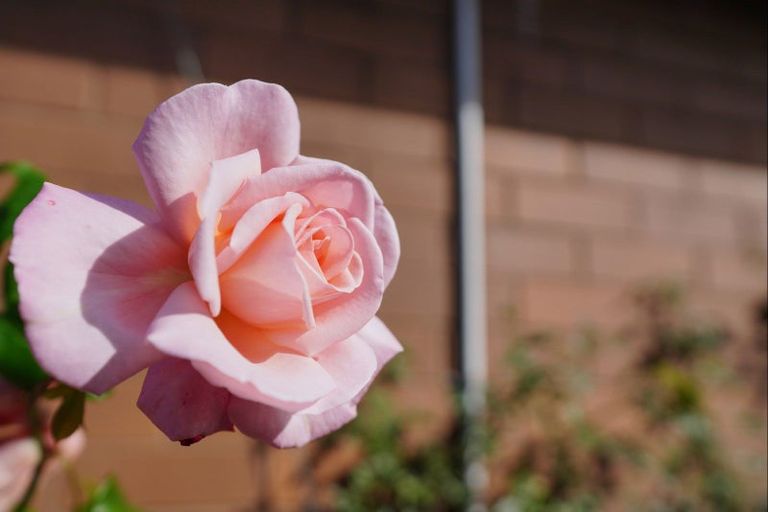 Photo of property in 134a King Street, Windsor, Invercargill, 9810