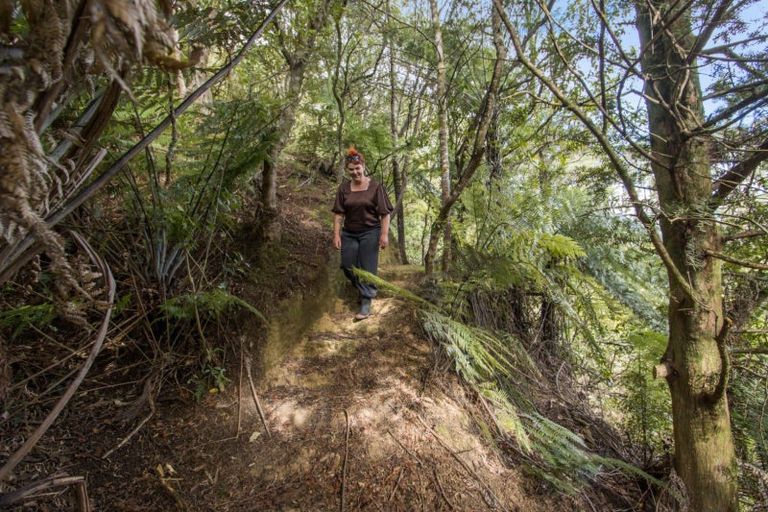 Photo of property in 520 Wright Road, Aongatete, Katikati, 3181