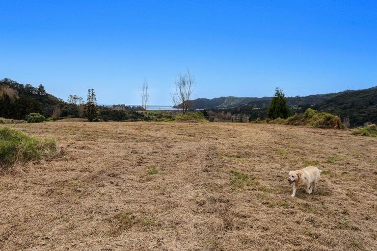 Photo of property in 183 Wainui Road, Torere, Opotiki, 3197