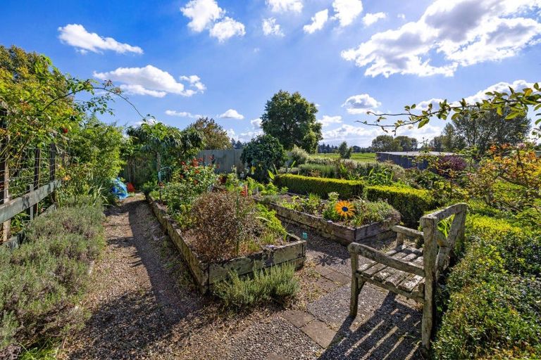 Photo of property in 81 Mcghie Road, Kihikihi, Te Awamutu, 3875