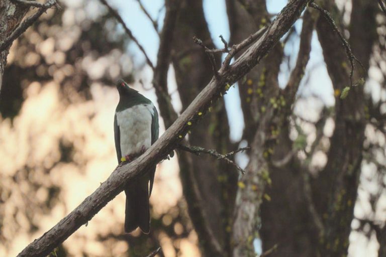 Photo of property in 629e Tara Road, Mangawhai, Kaiwaka, 0573