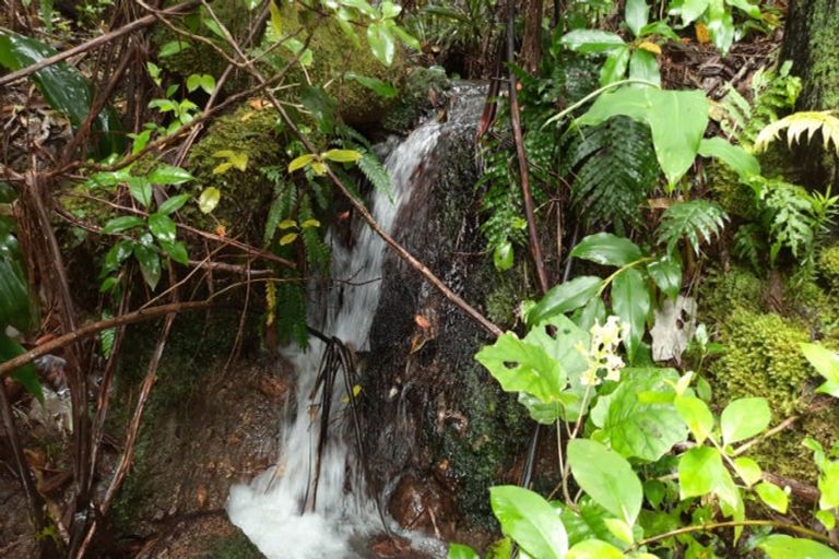 Photo of property in 22 Ngahere Terrace, Opoutere, Whangamata, 3691