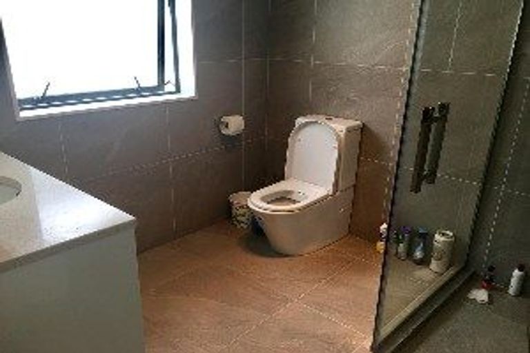 Photo of property in 21 Timmer Road, Flat Bush, Auckland, 2019